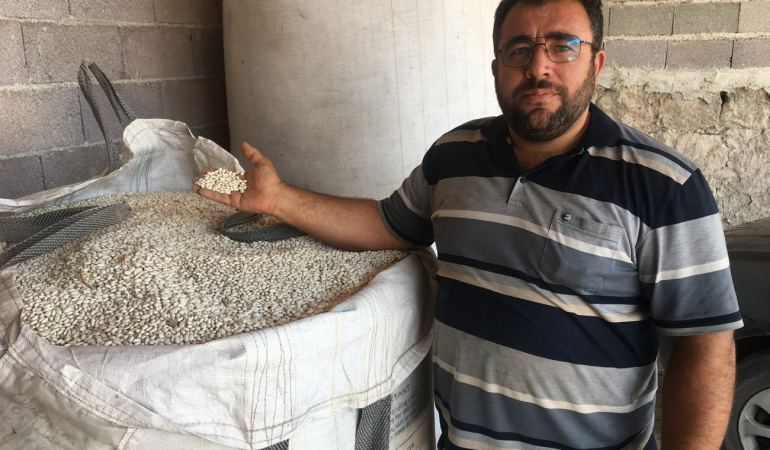 Derinkuyu’dan Türkiye’ye: Fırat Gıda ile Fasulyede Güven ve Kalite