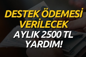 aylik-2500tlyardim