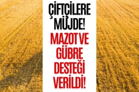 mazot-gubre-2025