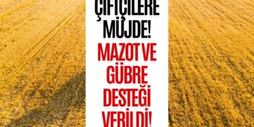 mazot-gubre-2025